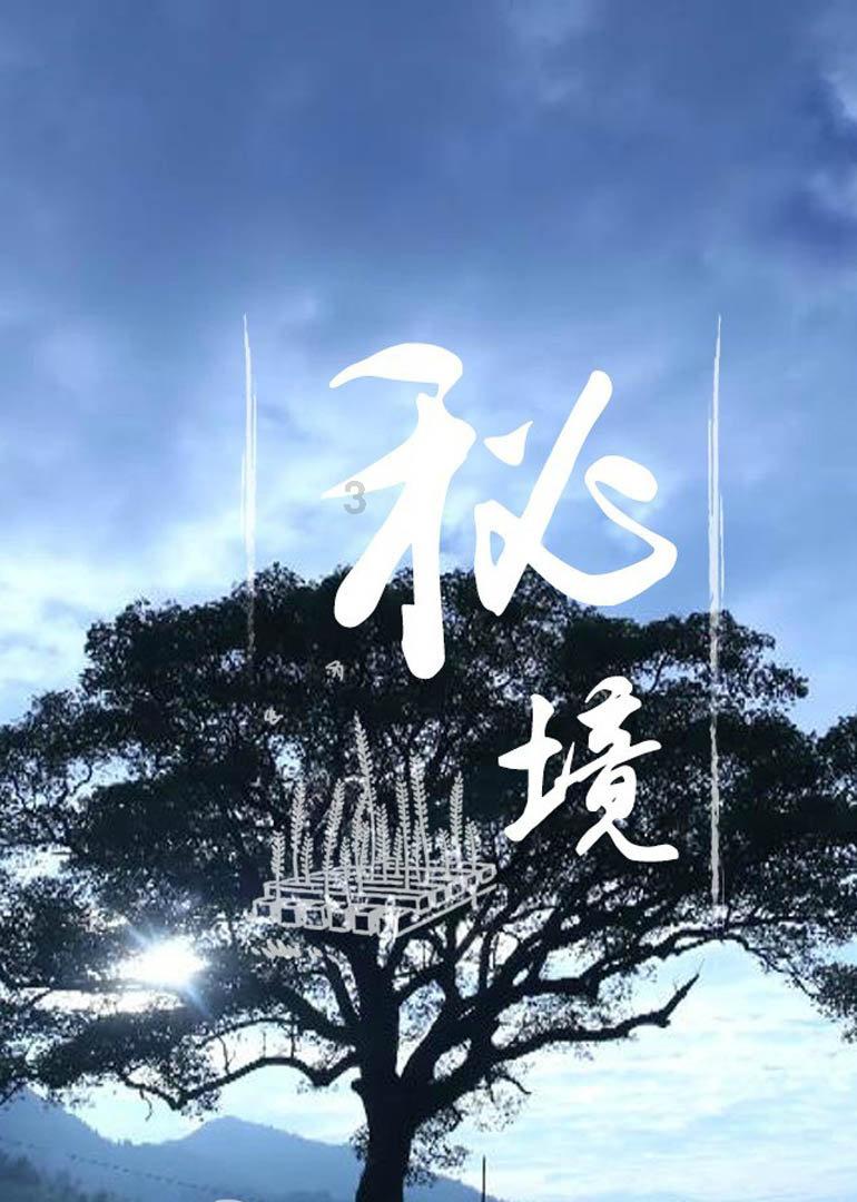 细节真的很重要吗?,解锁更多知识与乐趣